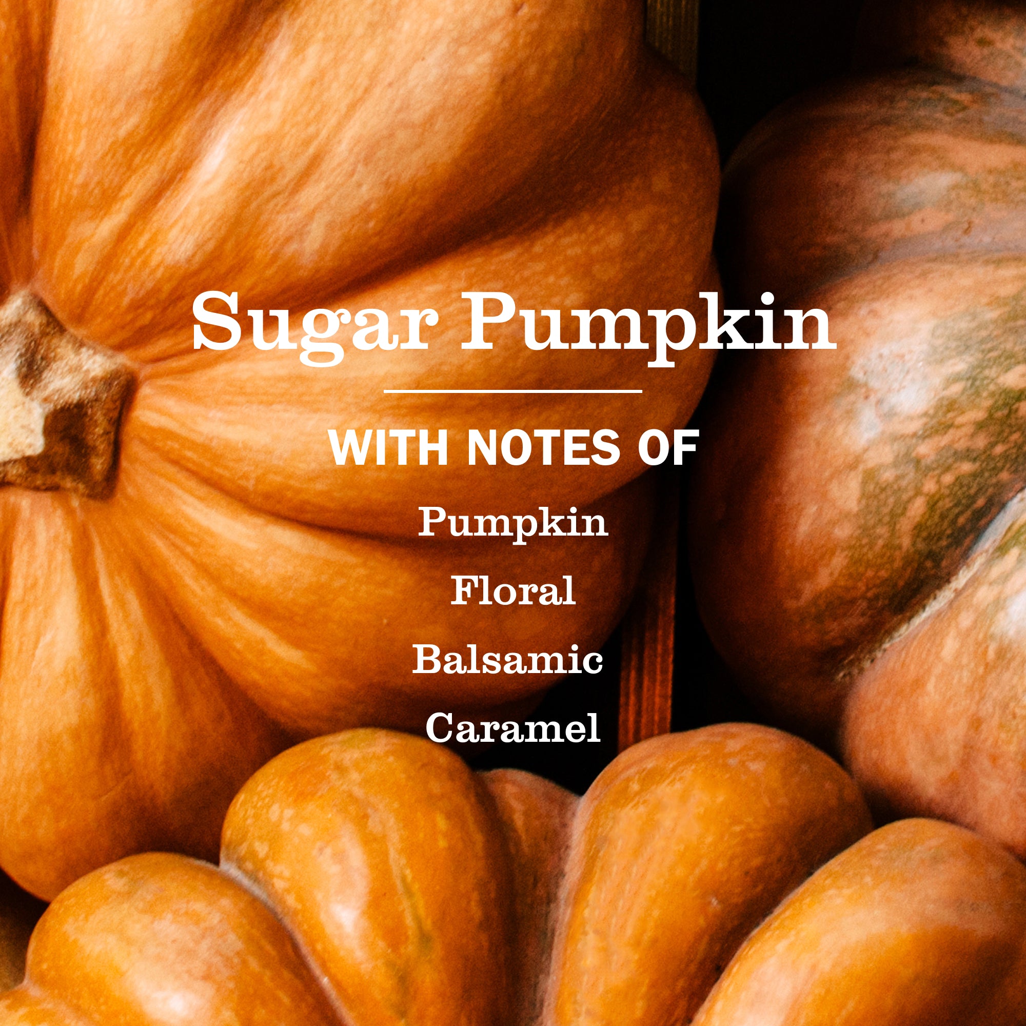 Sugar Pumpkin Dish Soap - Image 3