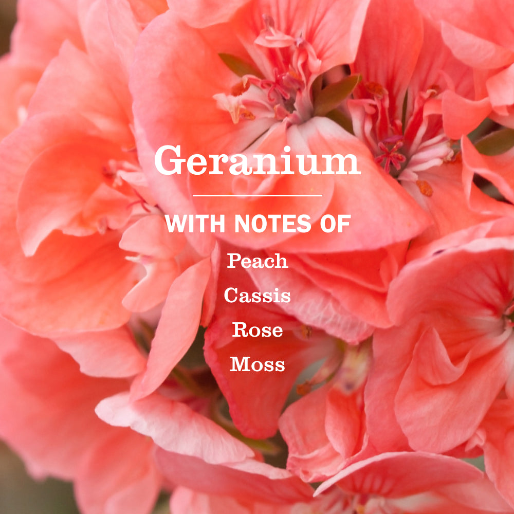Geranium Liquid Hand Soap Refill - Image 4