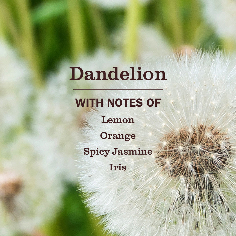 Dandelion Liquid Dish Soap - Image 4