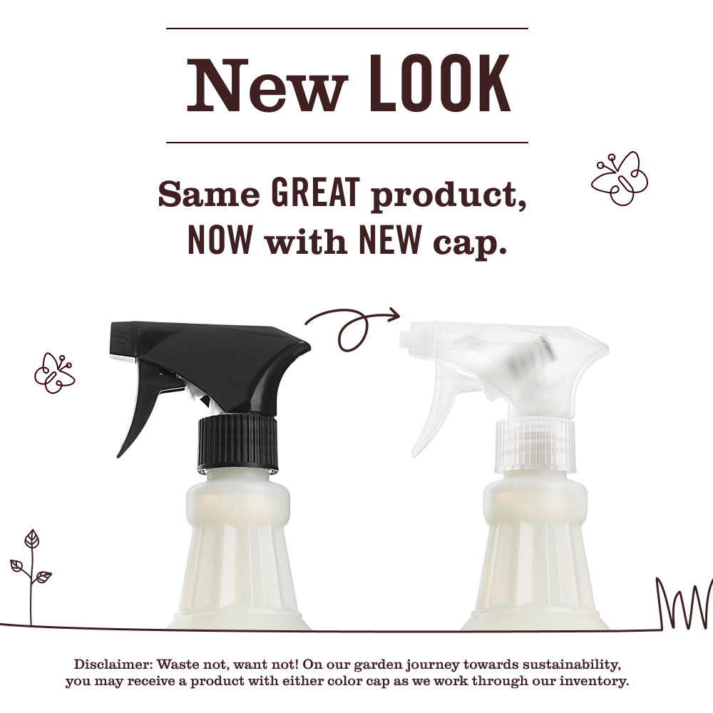 Blueberry Multi-Surface Everyday Cleaner - Image 3
