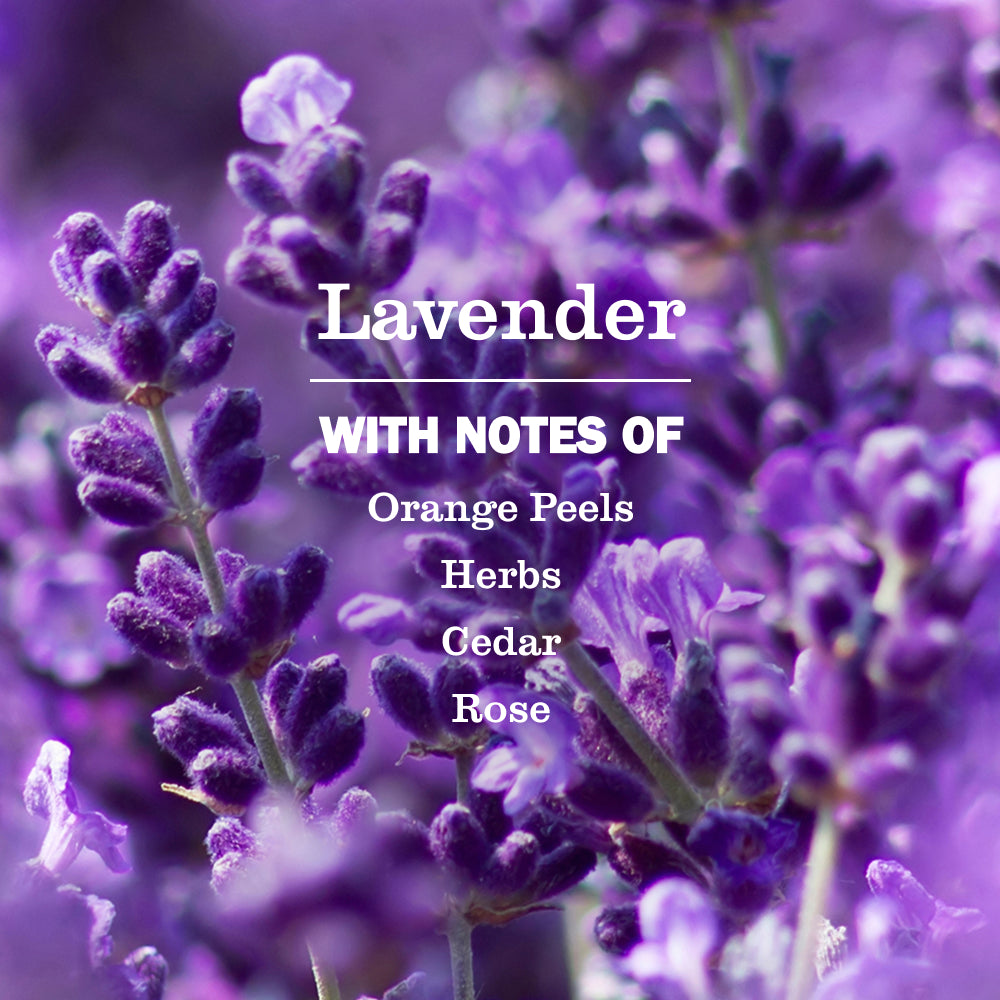 Lavender Liquid Hand Soap - Image 4