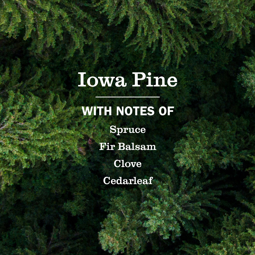 Iowa Pine Dish Soap - Image 4